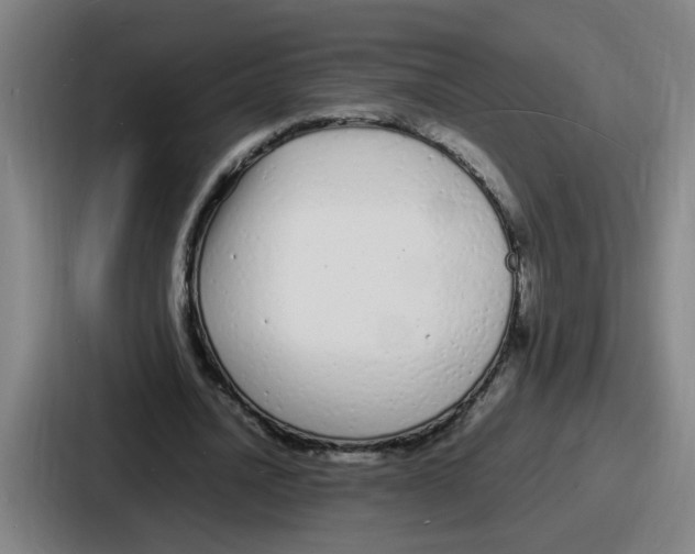 X0000086910628200705141703