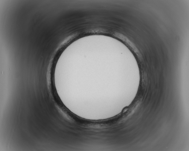 X0000086910629200705141703