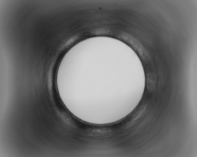 X0000086910631200705141703