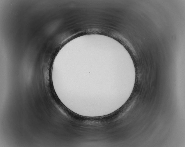 X0000086910633200705141703