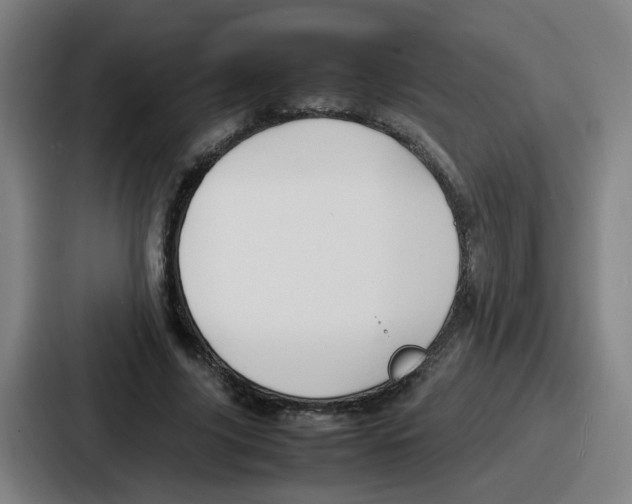 X0000086910635200705141703