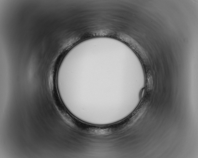 X0000086910638200705141703