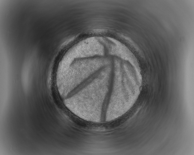 X0000086910640200705141703