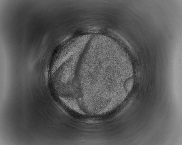 X0000086910641200705141703