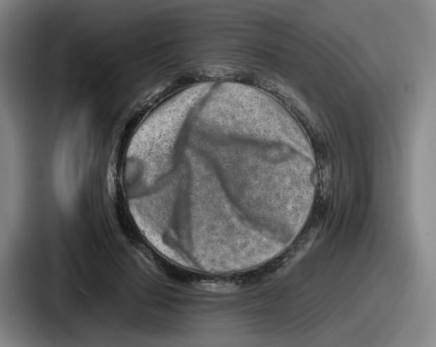 X0000086910644200705141703