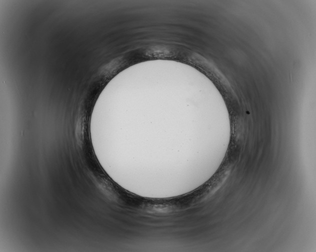 X0000086910645200705141703