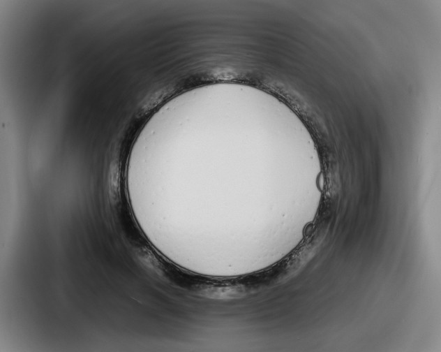 X0000086910646200705141703