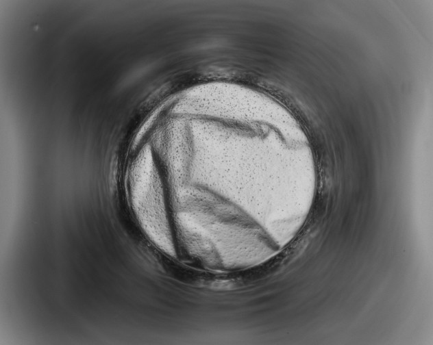 X0000086910647200705141703