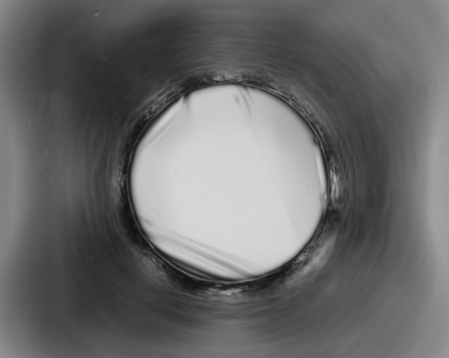 X0000086910648200705141703