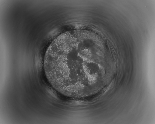 X0000086910650200705141703