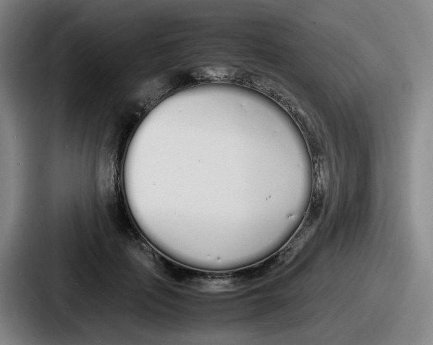 X0000086910651200705141703