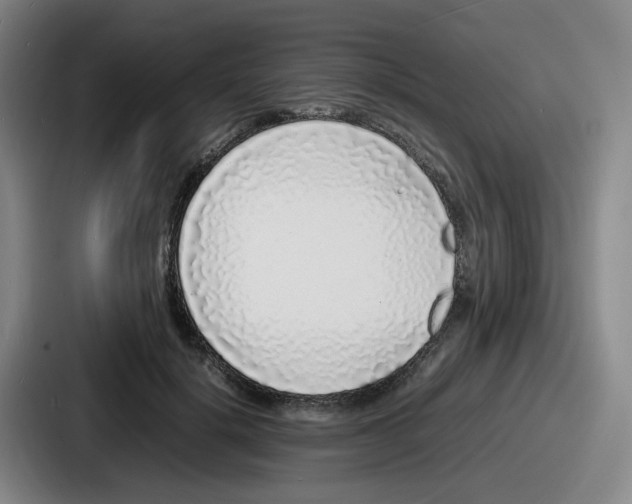 X0000086910652200705141703