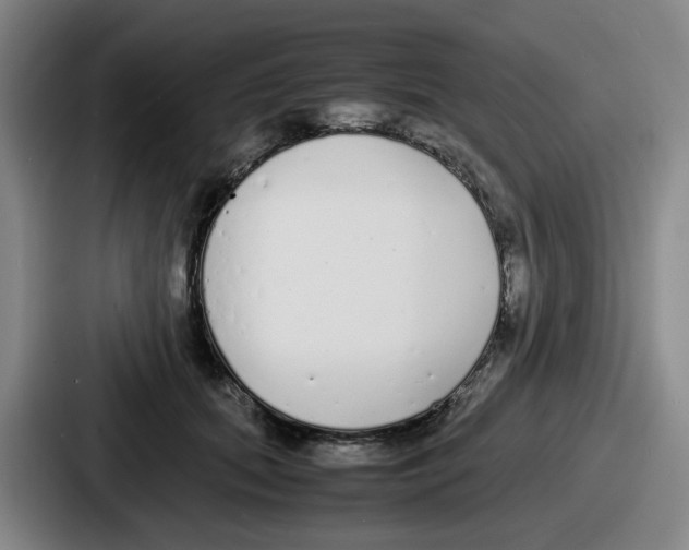 X0000086910655200705141703