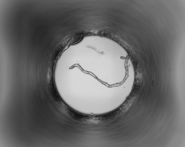 X0000086910656200705141703