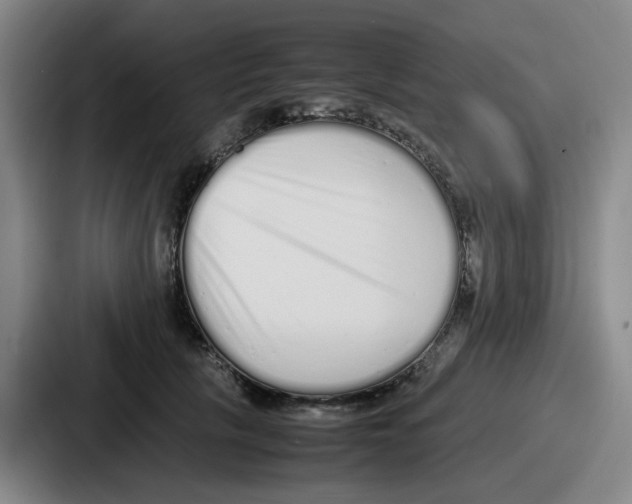 X0000086910657200705141703