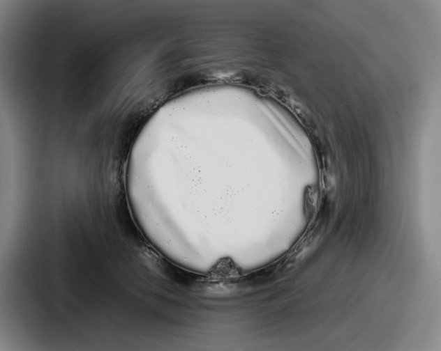 X0000086910658200705141703