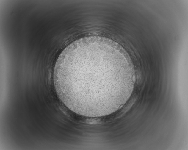 X0000086910660200705141703