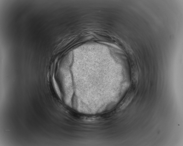 X0000086910661200705141703