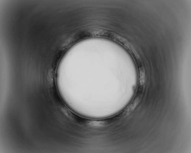 X0000086910664200705141703