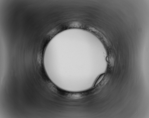 X0000086910665200705141703