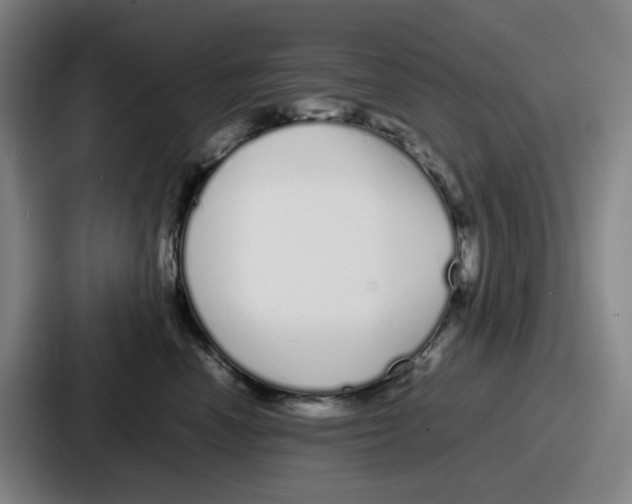 X0000086910666200705141703