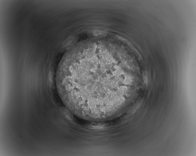 X0000086910667200705141703