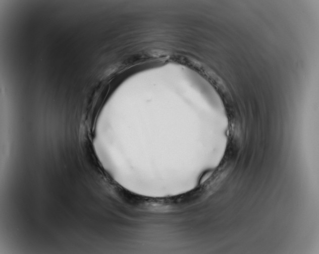 X0000086910668200705141703