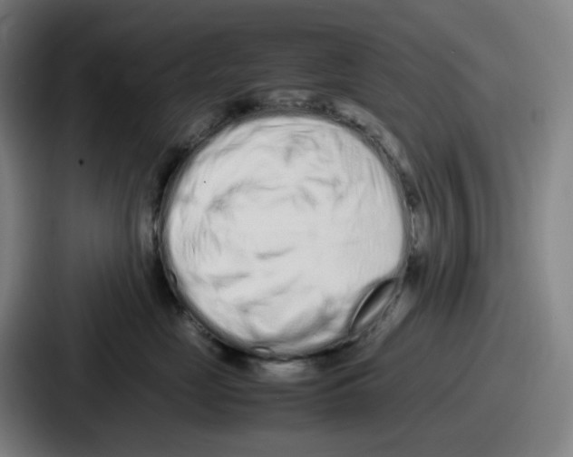 X0000086910669200705141703