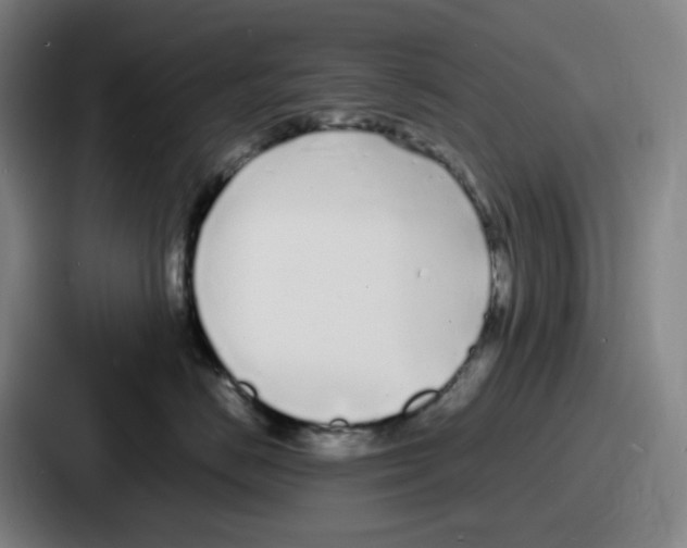 X0000086910670200705141703