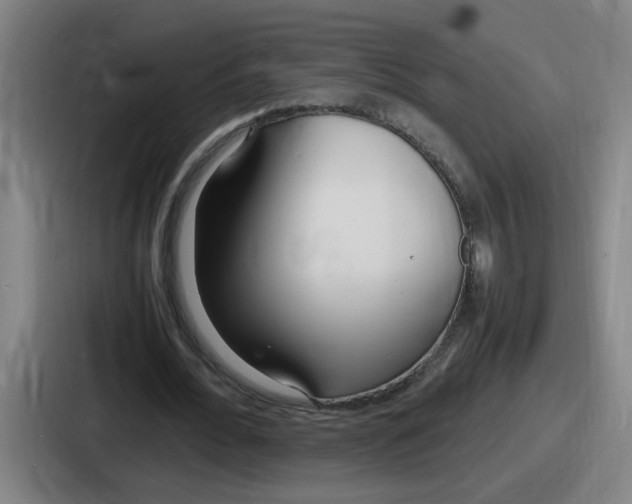 X0000086910676200705141703