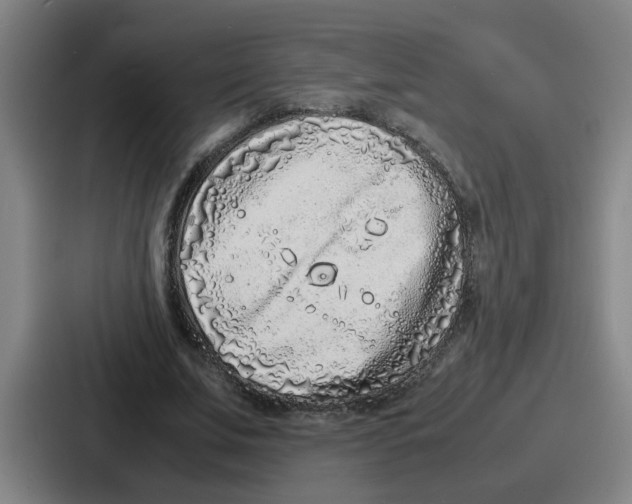 X0000086910679200705141703