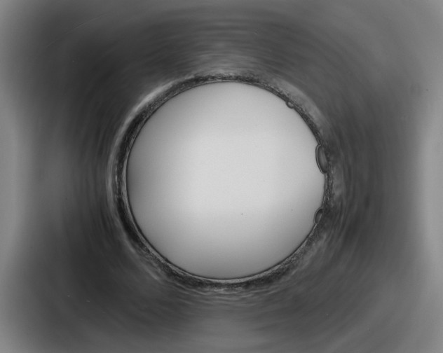 X0000086910680200705141703