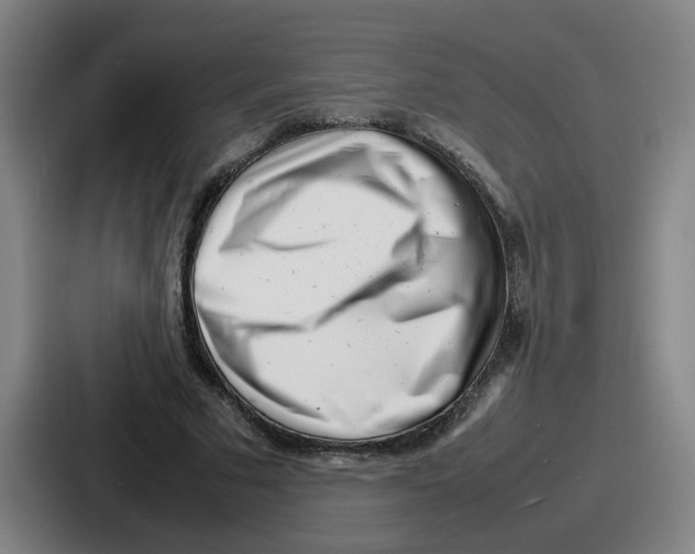 X0000086910681200705141703