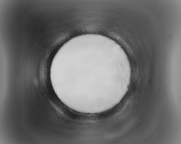 X0000086910683200705141703