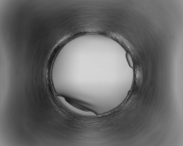 X0000086910684200705141703