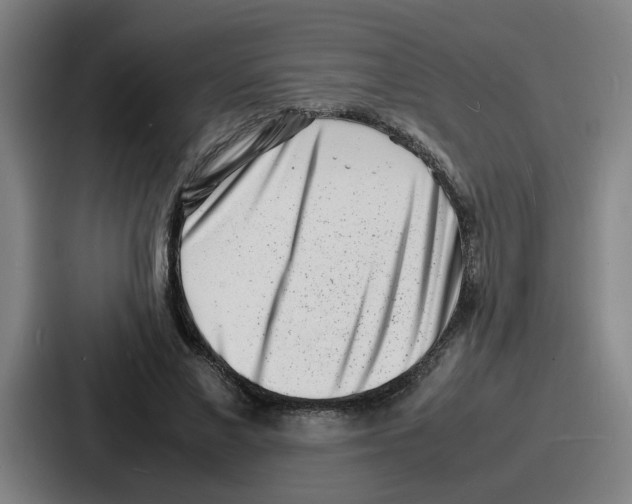 X0000086910685200705141703