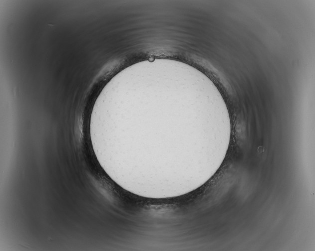 X0000086910686200705141703