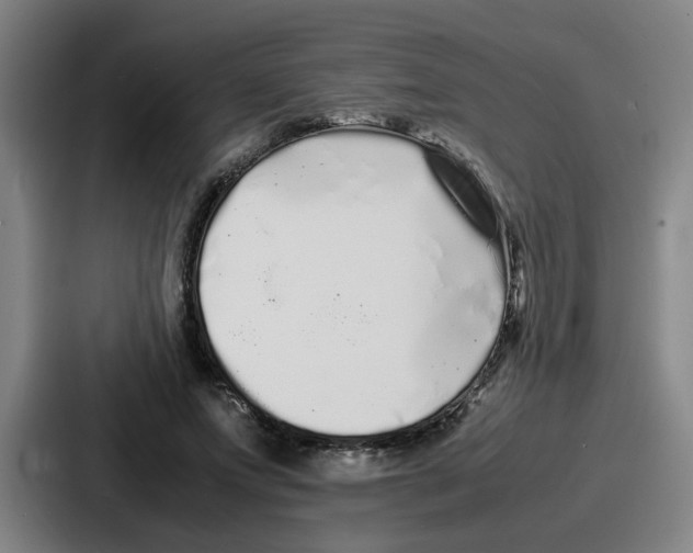 X0000086910687200705141703