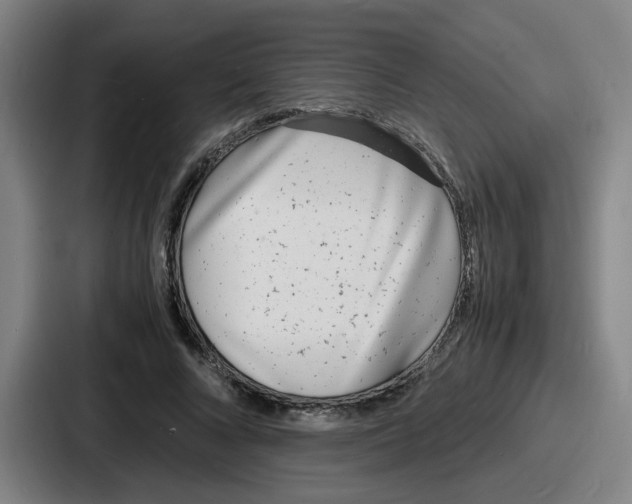 X0000086910688200705141703