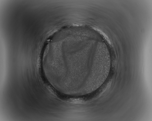 X0000086910689200705141703