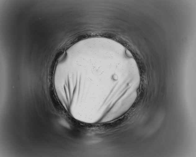 X0000086910691200705141703