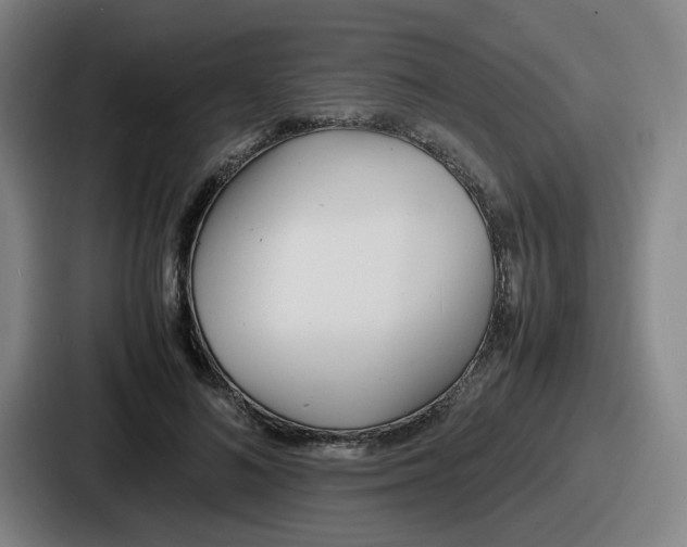 X0000086910692200705141703