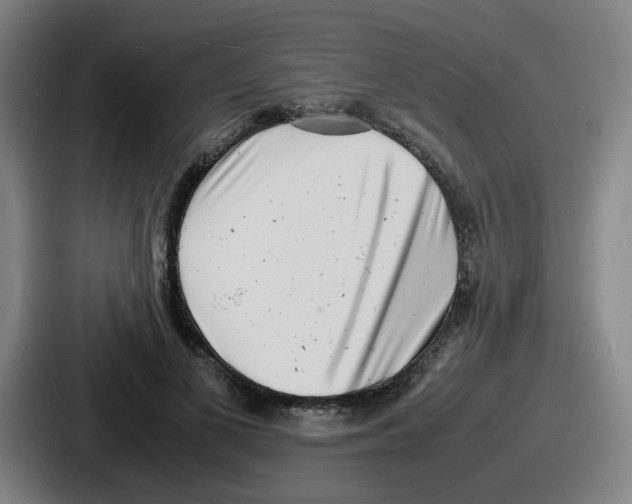 X0000086910693200705141703