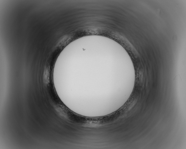 X0000086910694200705141703