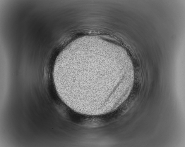 X0000086910695200705141703