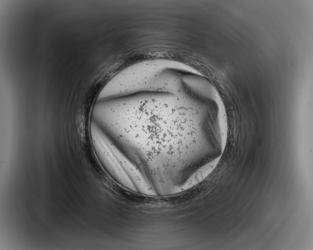 X0000086910696200705141703