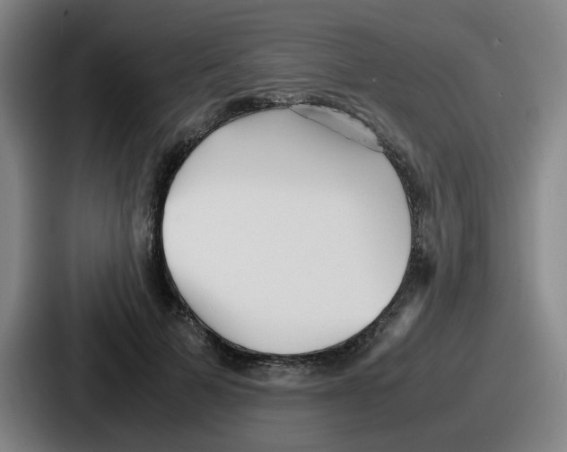 X0000086910697200705141703