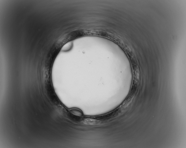 X0000086910699200705141703