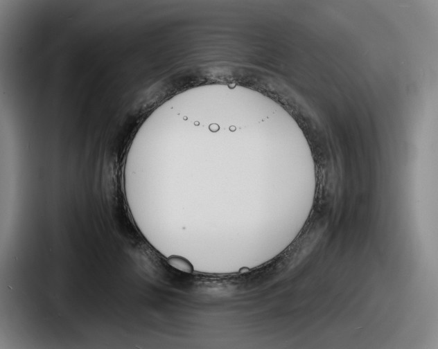 X0000086910702200705141702