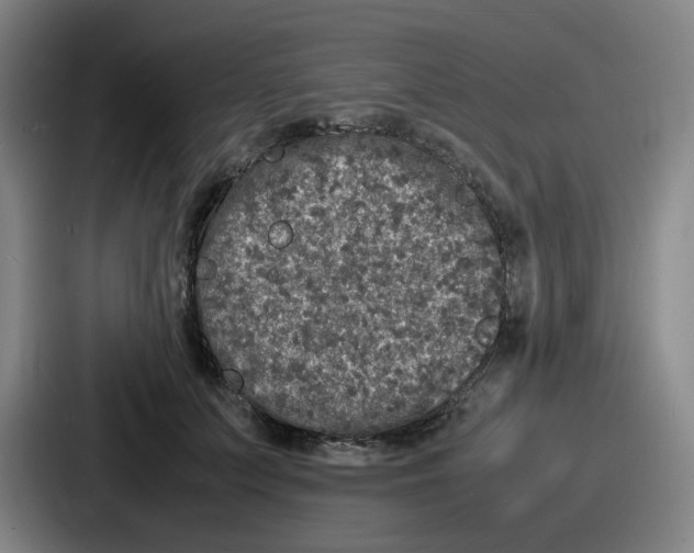 X0000086910703200705141702